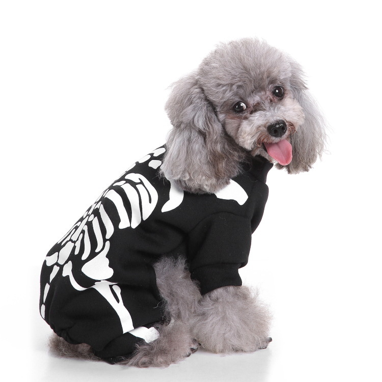Dog Halloween costume with funny costumes — image 12