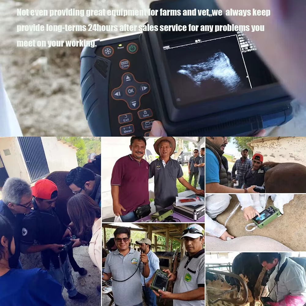 Portable Veterinary Ultrasound Scanner for Pregnancy Vet B-Ultra Machine with 3.5MHz Rectal Probe for Cows Horses Camels Animals — image 8