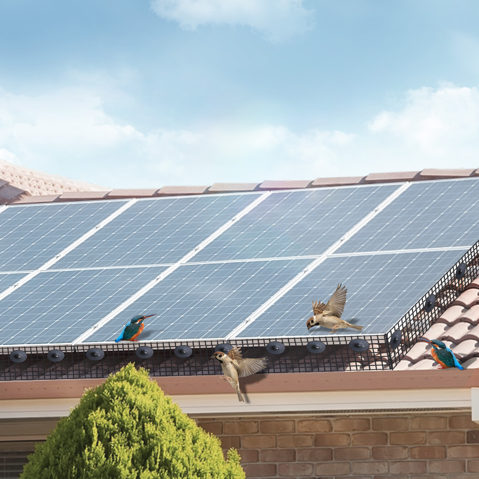 Kit de Guardián de Paneles Solares para Aves y Crías con Fijaciones de Acero Inoxidable, Protección para Paneles Solares con Recubrimiento PVC Resistentes a la Corrosión — imagen 2