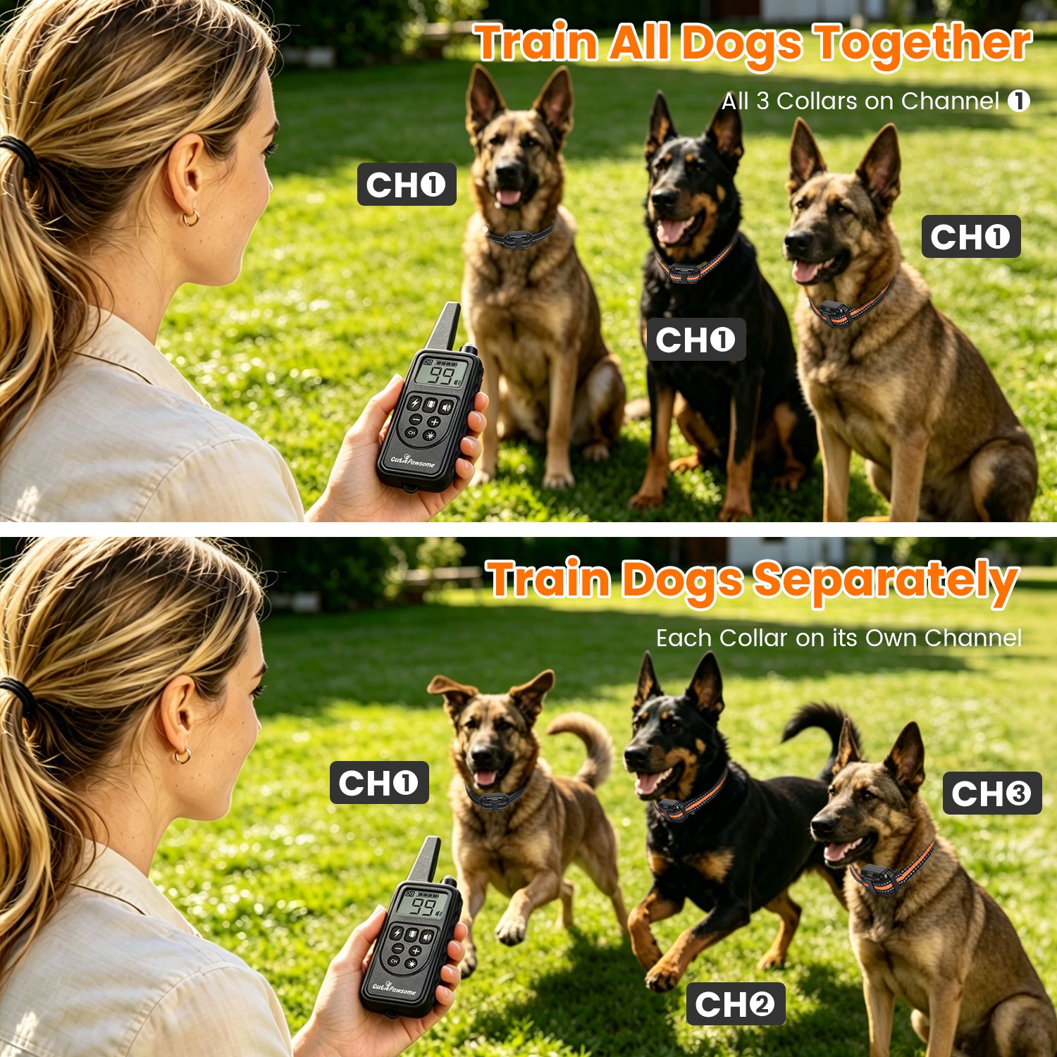 Collar de Adiestramiento para Perros con Control Remoto — imagen 2