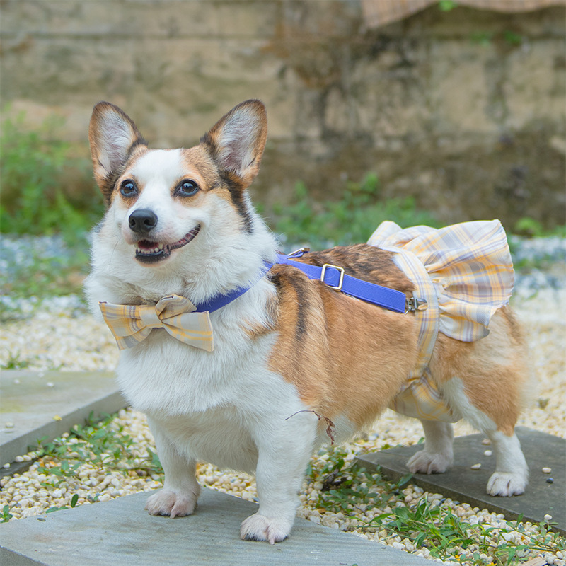 Short-Legged Captain Dog JK Campus Style Striped Skirt Bitch Aunt Pants Physiological Pants Pet Anti-Harassment Strap Corgi — image 3