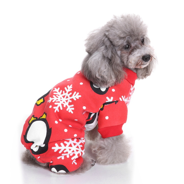 Dog Halloween costume with funny costumes — image 13