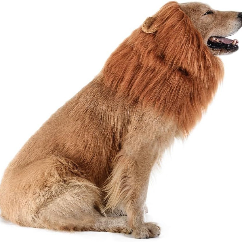 Fun Lion Head Mask with Ears for Pets - Animal Transformation Costume — image 5
