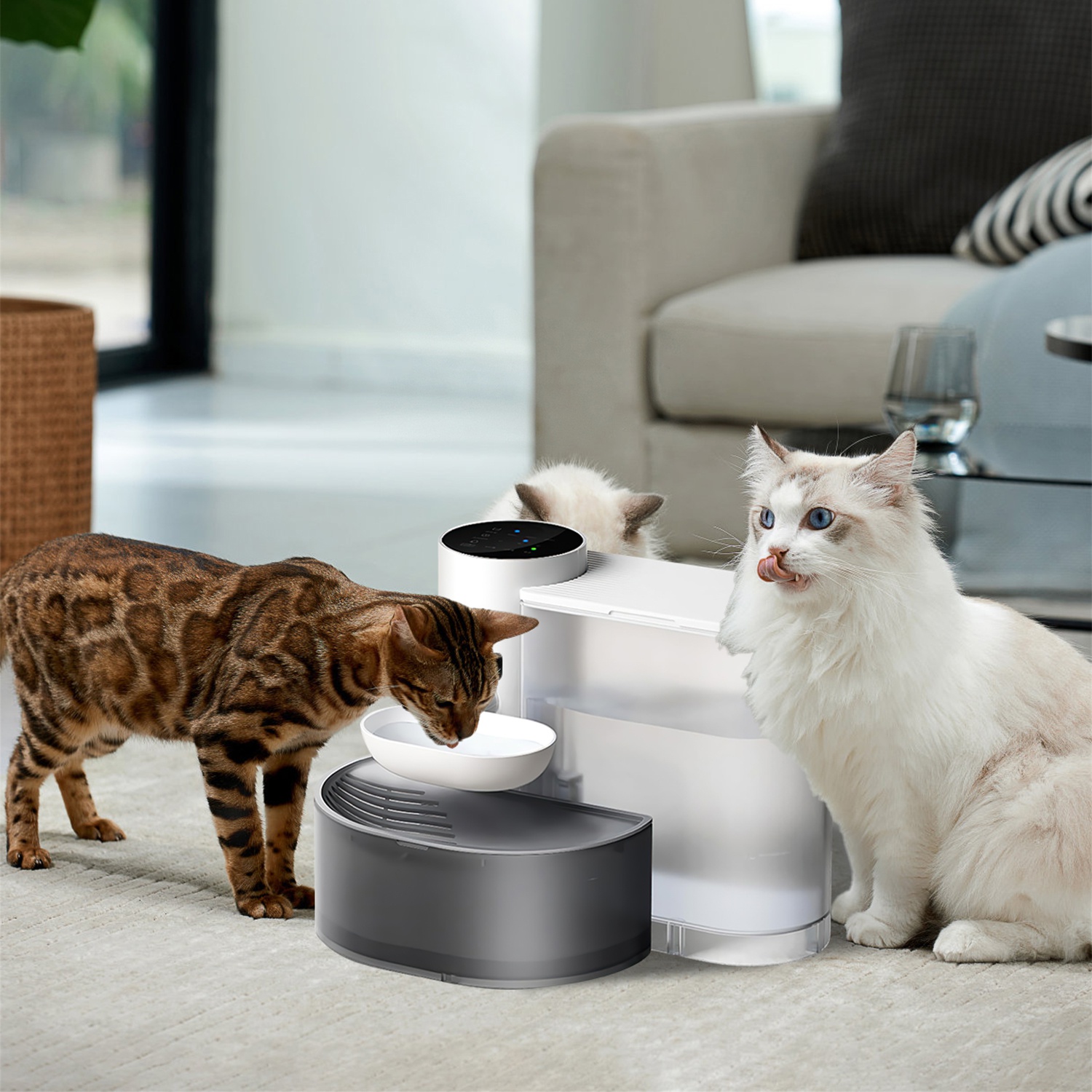 Fuente de Agua Inteligente para Mascotas Dispensador Automático de Agua para Gatos 3L Fuente de Agua para Perros Recargable e Inalámbrica con Autorrelleno, 3 Volúmenes Ajustables, 3 Intervalos de Tiempo y Control Táctil — imagen 13