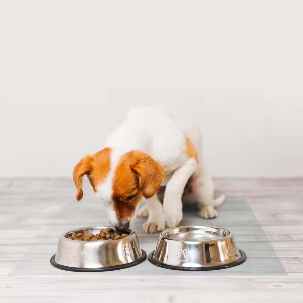 Manta de Piso PVC Congelado - 1.5mm Anti-Rasguño Impermeable para Área de Alimentación de Mascotas y Suelo de Cárcel Canina — imagen 3