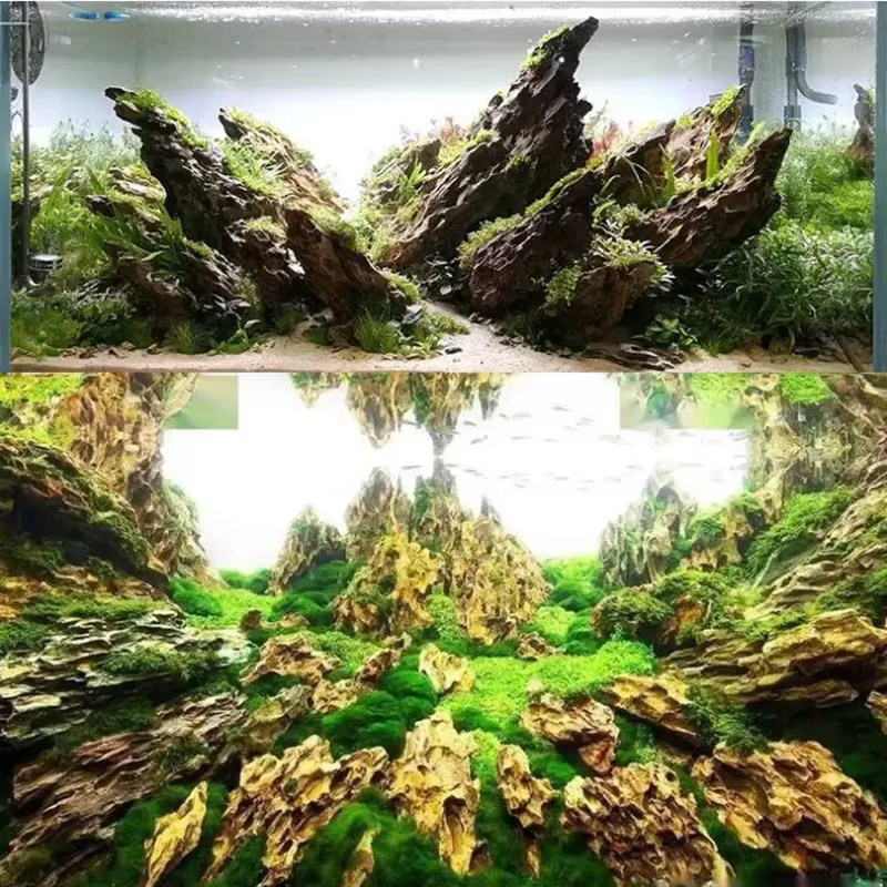 250g 500g 1000g Natural Aquarium Decor Stone Rockery Landscaping Fish Tank Microporous Stone Good for Plants Growth — image 3