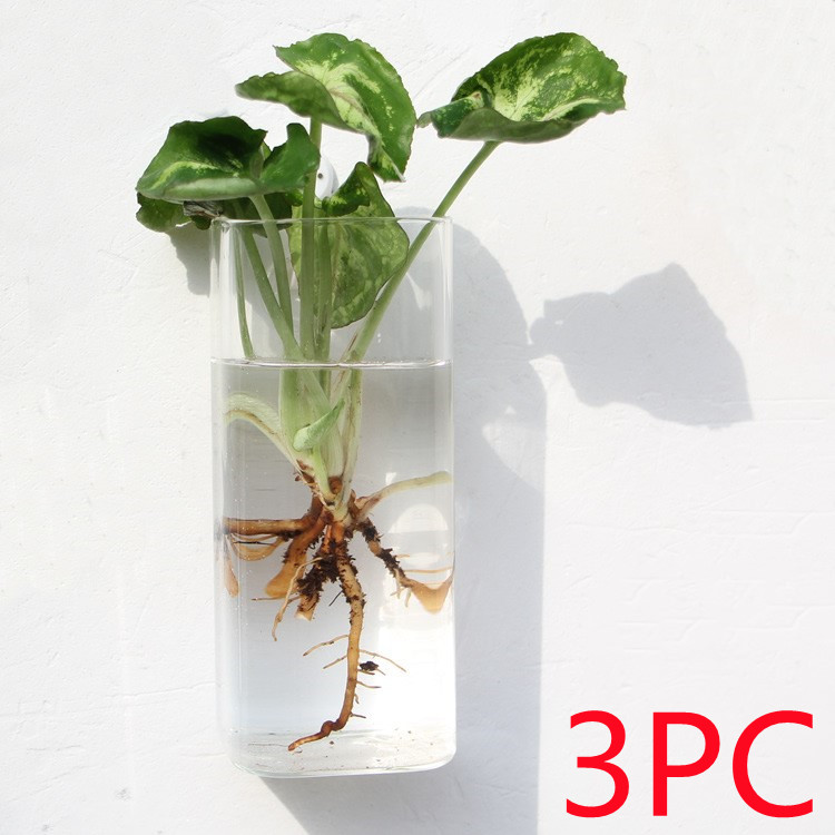 Vaso de Vidrio para Terrario Decorativo en Línea - Jardín Acuático para Hogar — imagen 55