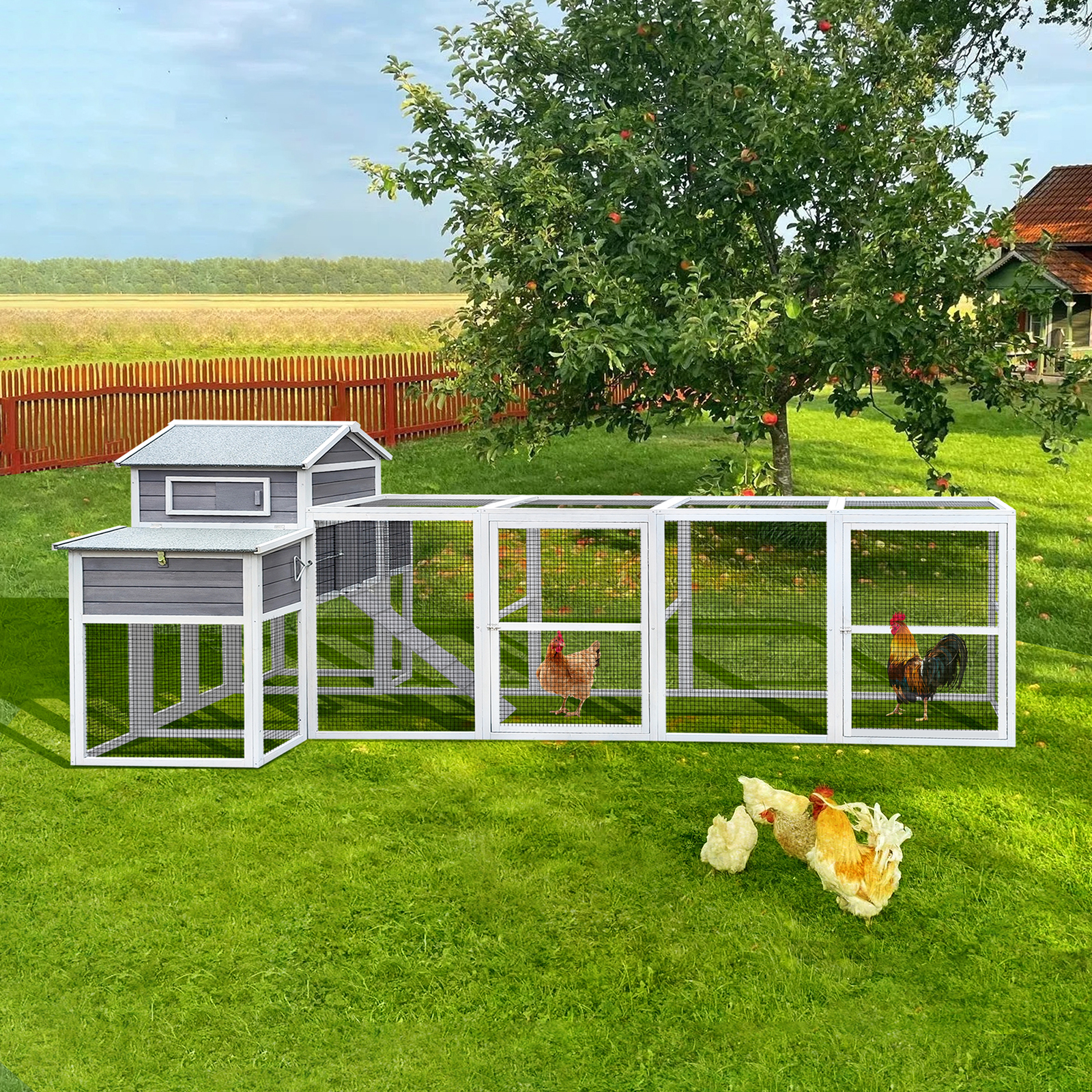 Wooden Chicken Coop — imagen 6