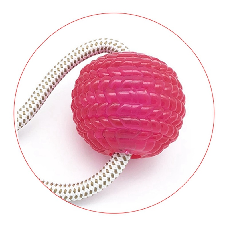 Interactive fun Pet toy with suction cup dog push toy with TPR ball Pet Tooth Cleaning, Chewing, Playing, IQ Treat Ball Puppy Toys — image 3