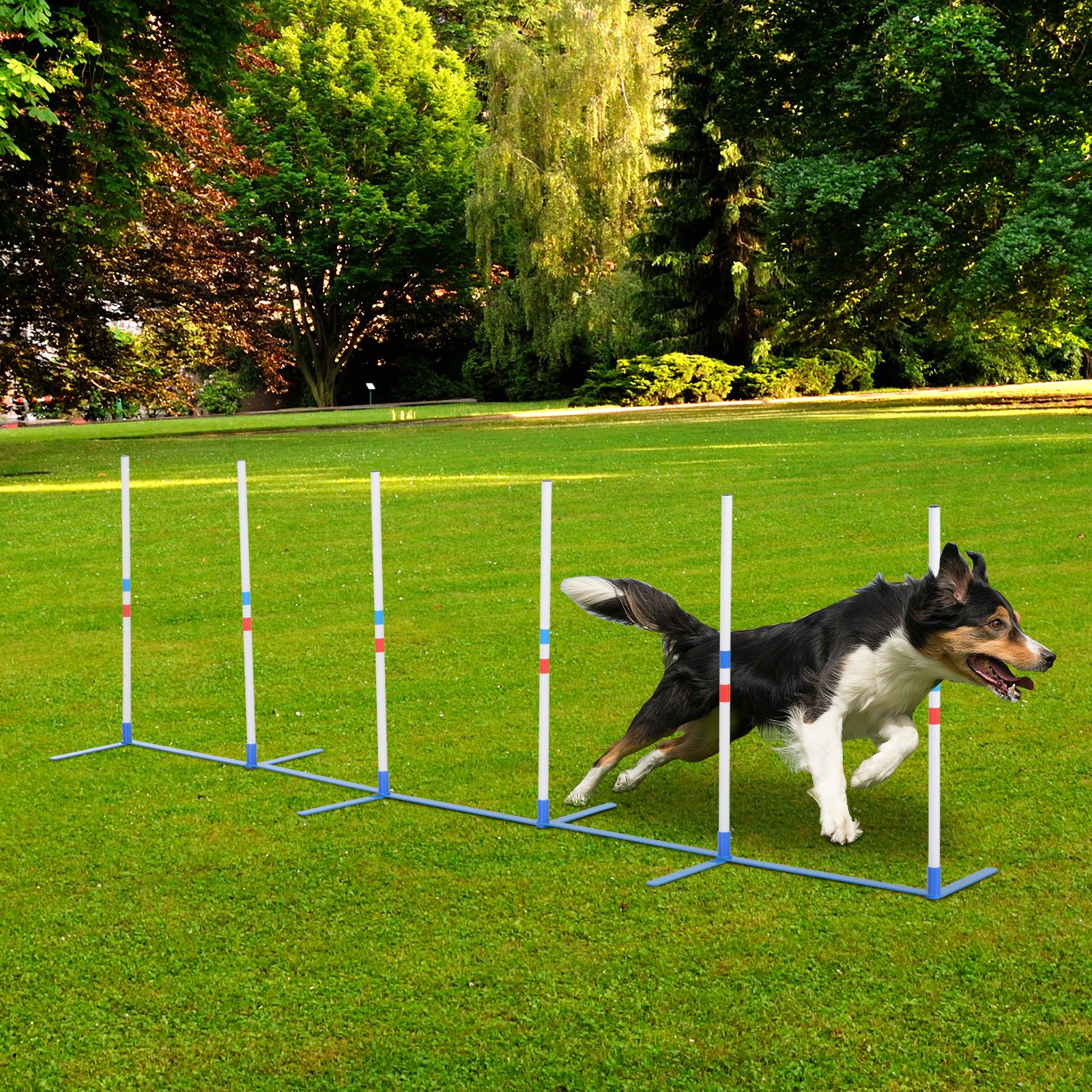 Kit de obstáculos para perros - Conjunto de varillas de entrelazamiento para entrenamiento y ejercicio al aire libre — imagen 1
