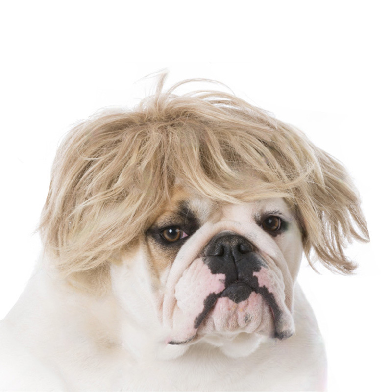 Accesorio de peluche para mascotas con pelo rizado y liso para Halloween — imagen 11