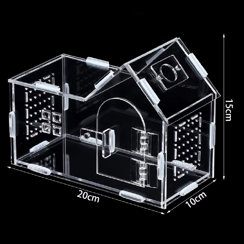 Reptile Terrarium Acrylic Portable Small Reptile Breeding Box Spider Tortoise Snail Terrarium Reptiles Pet House Cage — image 5