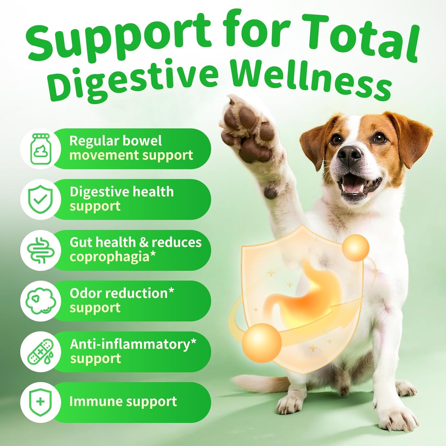 Probióticos y Enzimas Digestivas para Perros - Chucherías de Fibra de Calabaza para Salud Intestinal, Alivio de Constipación, Estreñimiento y Dispepsia, Soporte de Gas y Heces, Sabor a Pollo, 90 Piezas — imagen 4