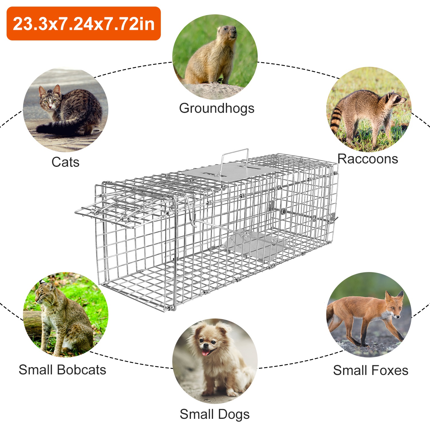 Humane Cat Trap Cage Catch Release Live Animal Rodent Cage Collapsible Galvanized Wire For Small Raccoons Beavers Groundhogs Foxes Armadillos — image 14