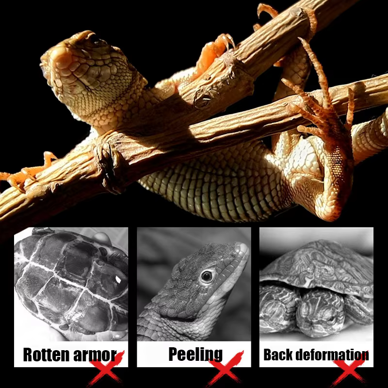 Soporte de lámpara de calefacción para reptiles con luz UVA UVB rotatable punto de calor simulación del sol para tortuga lagarto dimmer 220-240V — imagen 6