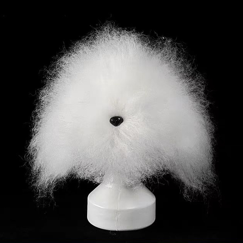 Cabeza de Entrenamiento para Pelo Canino Profesional | Modelo de Practica para Estudiantes de Estética Animal y Cuidado del Pelaje — imagen 10