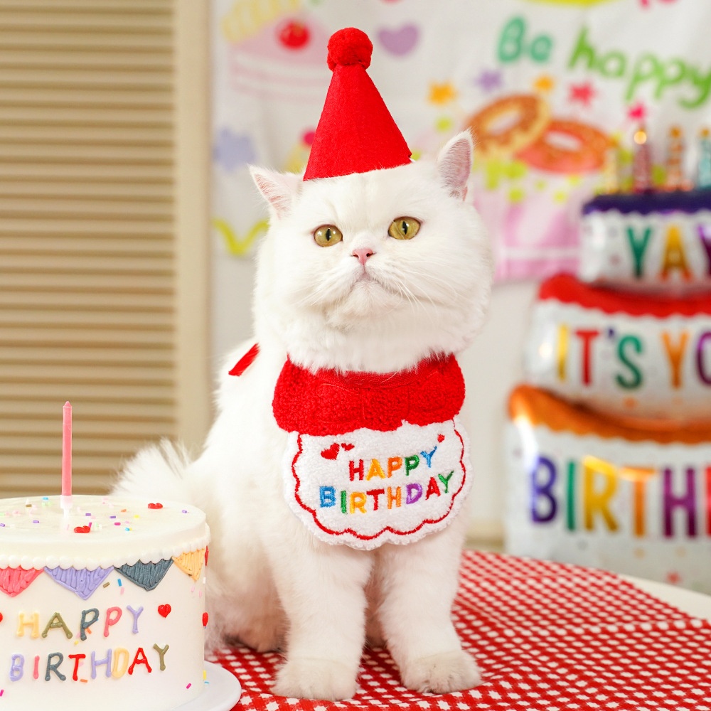 Pet birthday drool scarf cat bib scarf dog cat hat — image 1