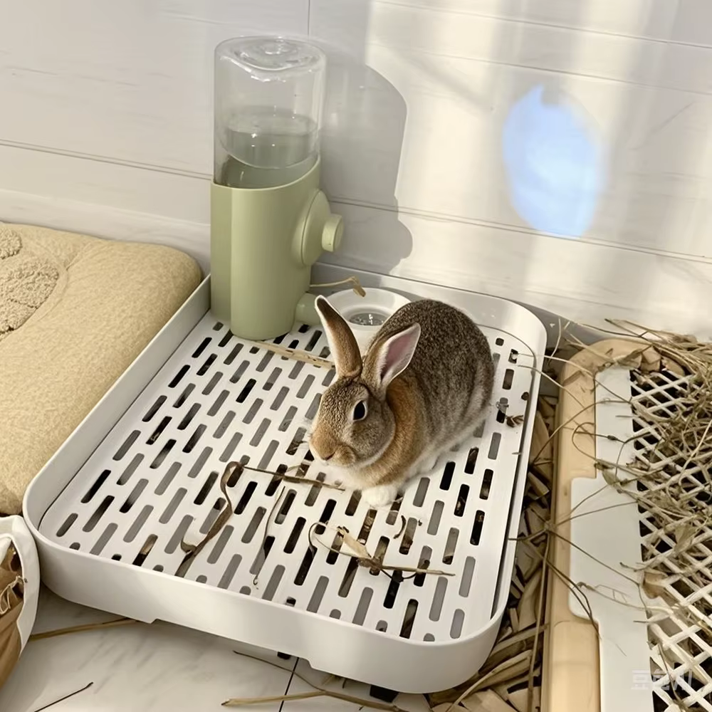 Caja de Lecho para Conejos y Pequeños Animales - Baño para Ferrets, Hamsters, Gatos, Cavia y Pigs — imagen 1