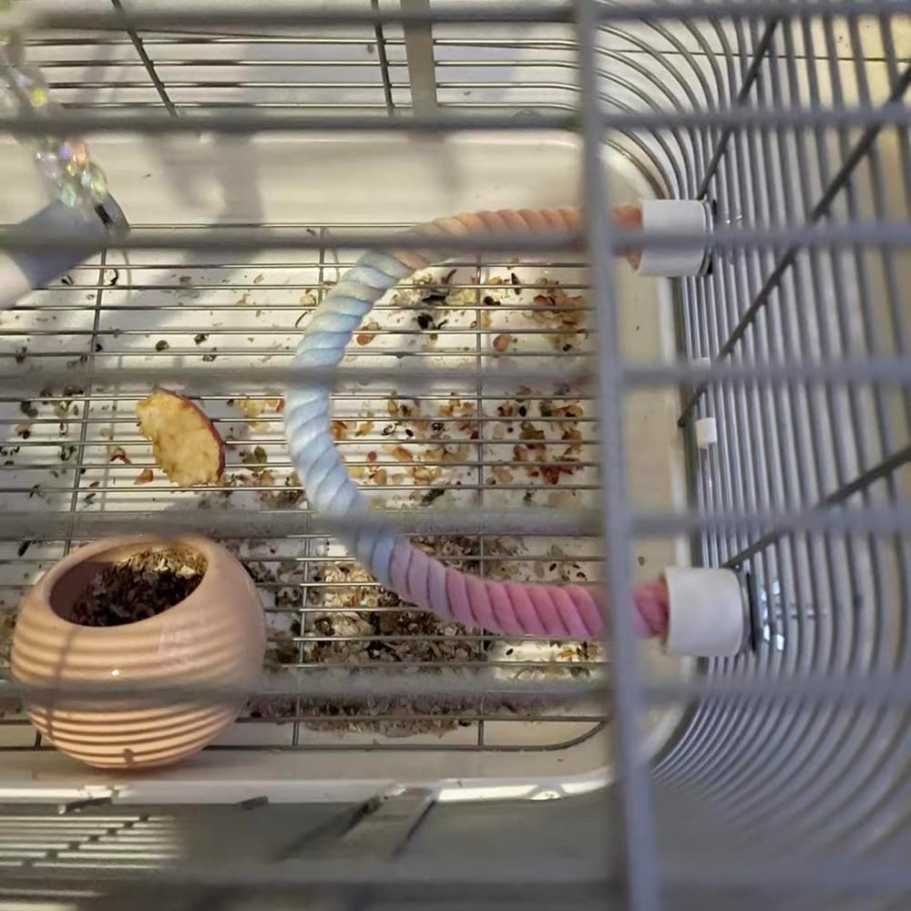 Percha de Cuerda Colorida en Gradiente para Jaulas de Aves - Accesorio de Escalada y Entretenimiento para Canarios, Cacatúas y Glideres de Azúcar — imagen 12
