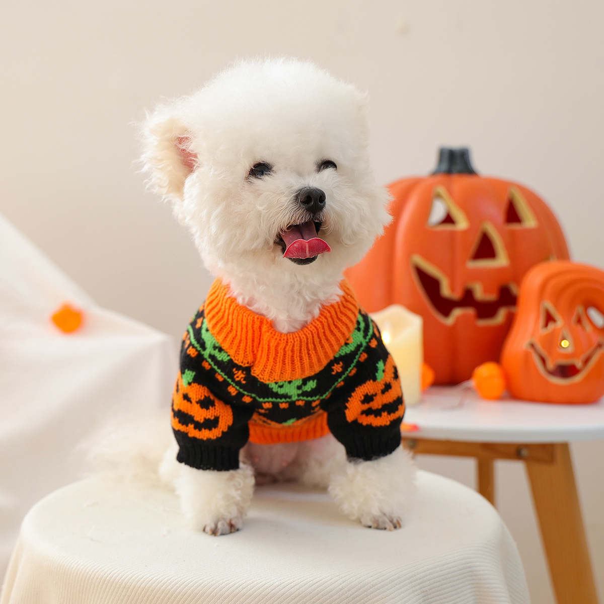Pet Clothes Autumn Winter Cartoon Pumpkin Design Small Dog Puppy Pumpkin Halloween Sweater — image 4