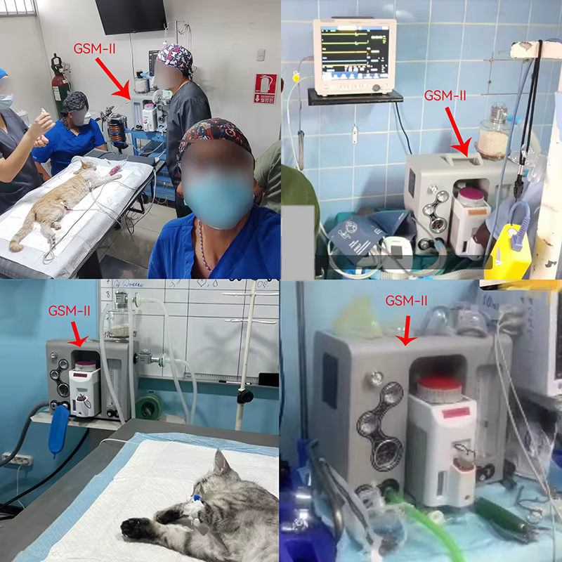 Portable Anesthesia Machine Vet Animal Pet Dog Cat Medical Anesthesia Apparatus Hospital Veterinary Anesthesia Equipment — image 6