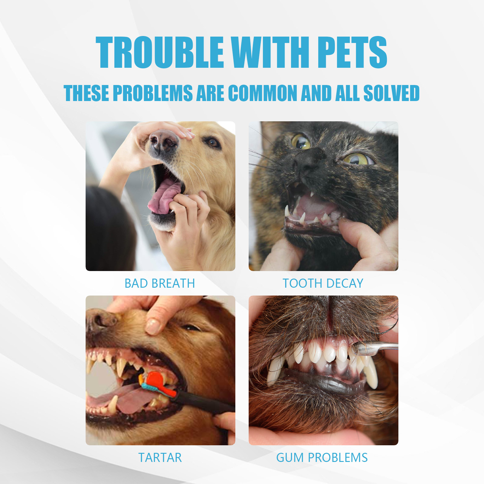 Pet Toothpaste, Fresh Breath Bad Breath Tartar Clean Dog And Cat Oral Care Edible Toothpaste — image 6