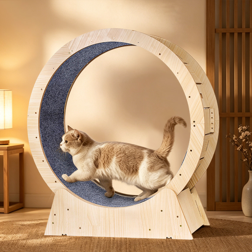 Cat Running Wheel Large Roller Toy Pet Exercise Fitness Cat Toy Multi-layer Board Cat Exercise Wheel — image 2