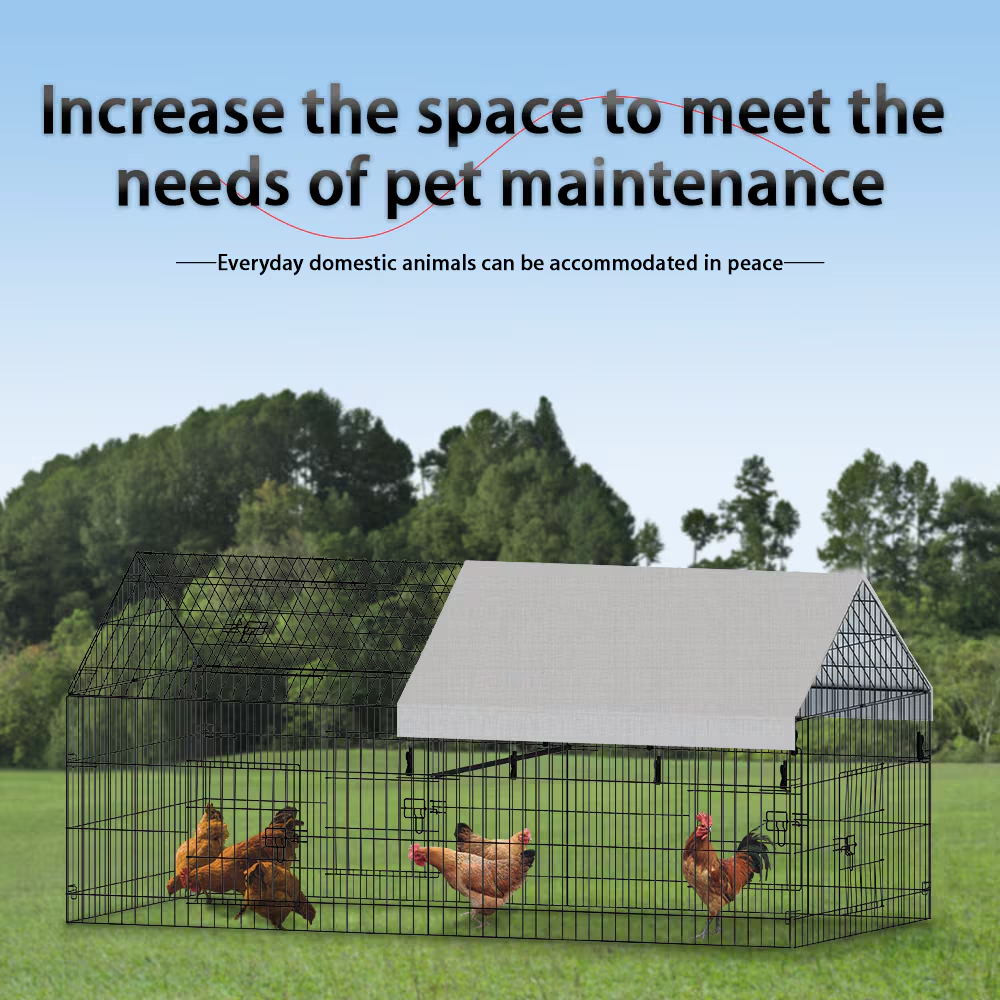 Casa de Gallinas con Alambre Puntiagudo para Cría Avícola — imagen 3