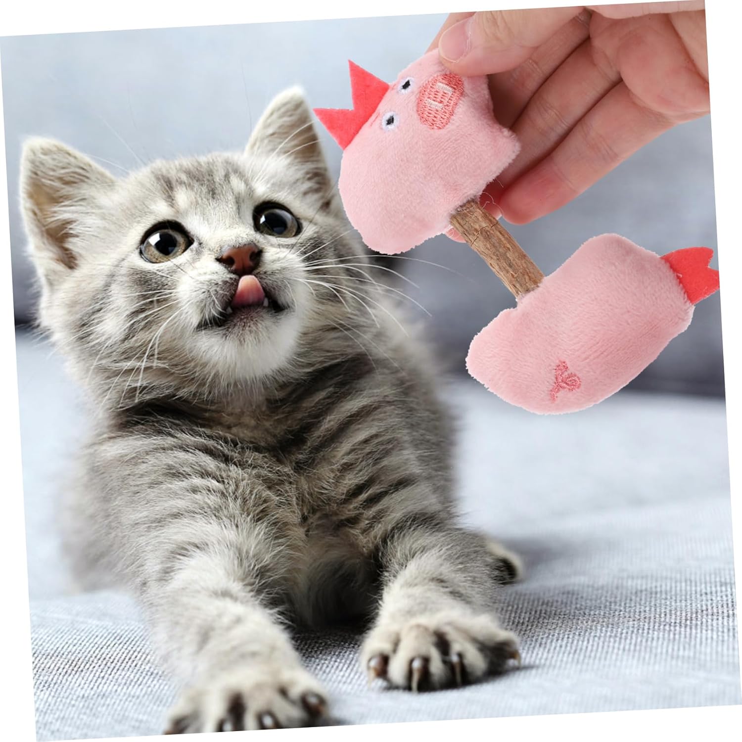 Cat Toy Kitten Toys Teeth Cleaning Toys Silvervine Sticks Cat Silvervine Stick Chew Sticks For Cats Cat Interaction Toys Kitten Plaything Cat Teaser Polygonum Wood The Cat — image 11