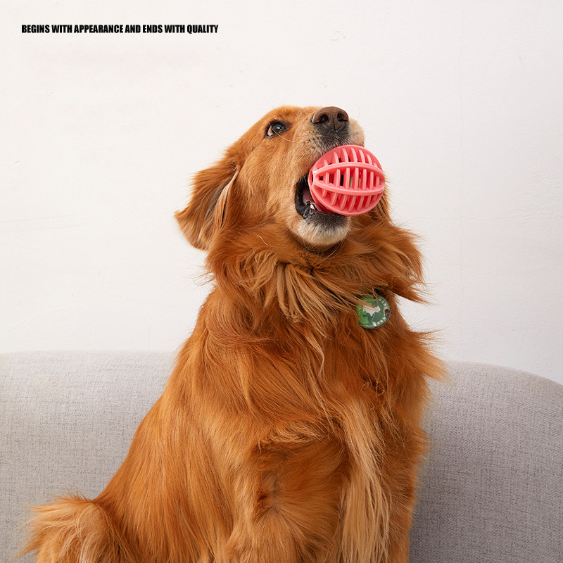 Dog Toy Pet Bite Resistant Molar To Relieve Boredom Toy TPR Leakage Ball Funny Training Teeth Cleaning Rubber Ball — image 2