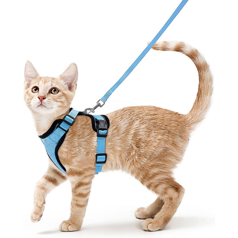 Arnes y Correa para Gatos con Control Fácil, Inescapable - Arnes de Vestido Suaves y Ajustables para Pasear a los Gatos — imagen 8