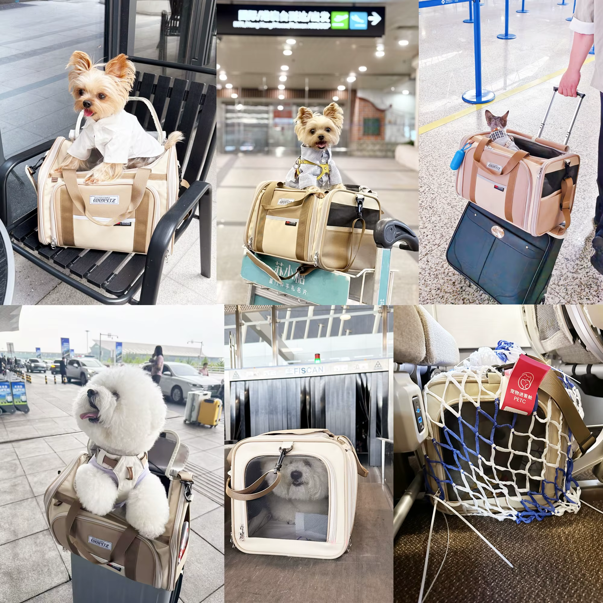 Pet Carrier Bag for Cats And Small Dogs Airline Approved Portable Puppy Bag for Cabin Travel with Expanded Comfort — image 6