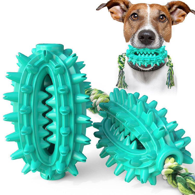 New dog toy with rope cactus ball molar stick toothbrush dog chew pet supplies — image 1