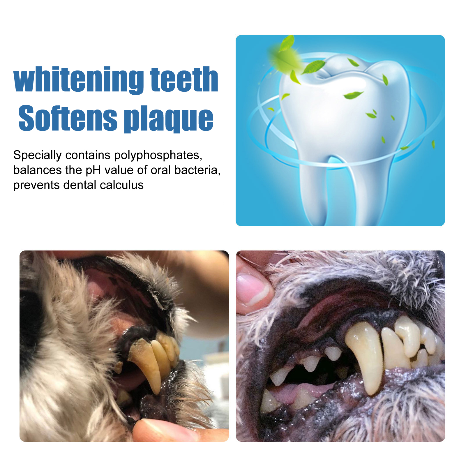 Yegbong Pet Tartar Remover, Removing Dental Calculus Yellow Teeth Halitosis Cleaning Teeth Mouth Foam Cleaner — image 5