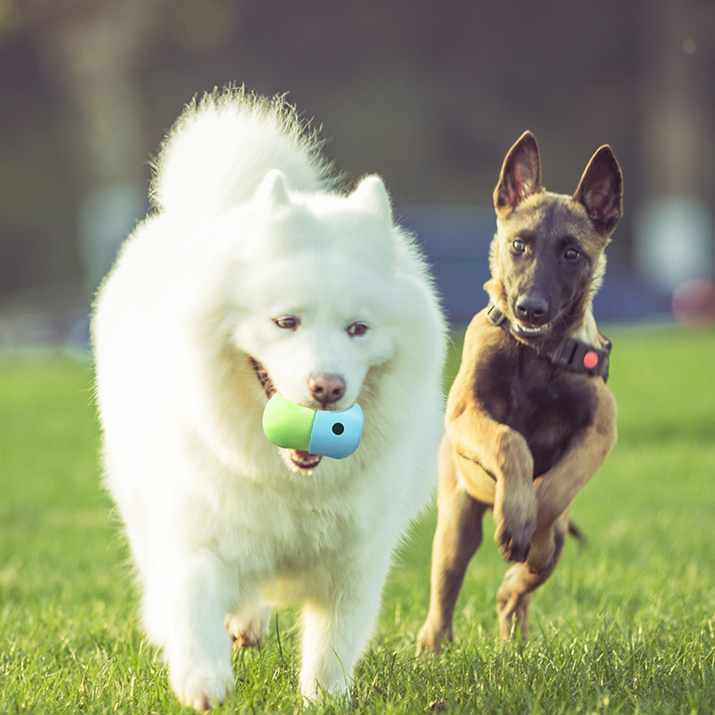 Nuevos juguetes para mascotas 2 en 1 - Pelota de juguete con drenaje para perros - Suministros para mascotas de silicona — imagen 12