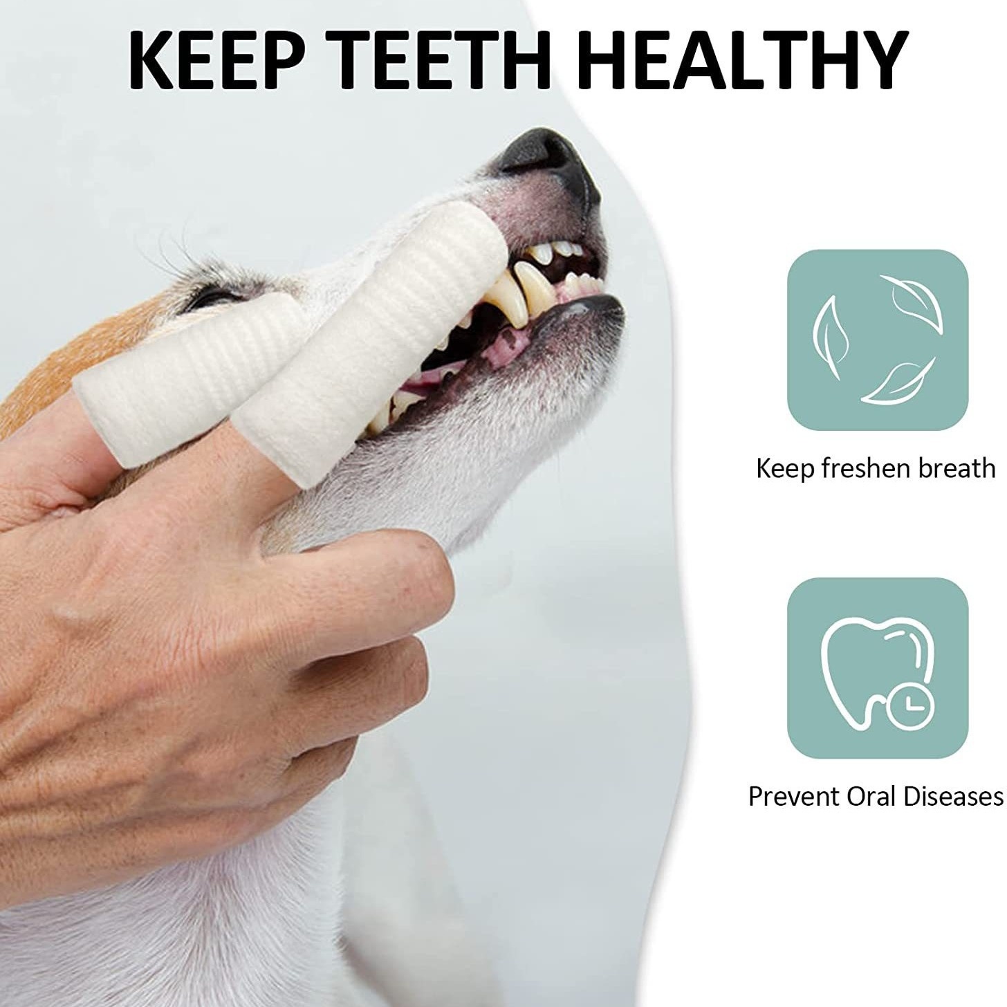 Cepillo Dental para Pájaros y Mascotas Cuidado Oral Herramienta de Higiene Canina y Felina Pequeño Cepillo Dental para Gatos — imagen 1