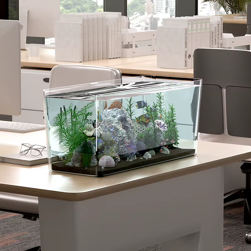 Tanque de Peces en Materiales PET de Alta Transparencia en Varios Tamaños Ideales para Pececitos, Goldfish y Tortugas para Hogar y Oficina — imagen 3