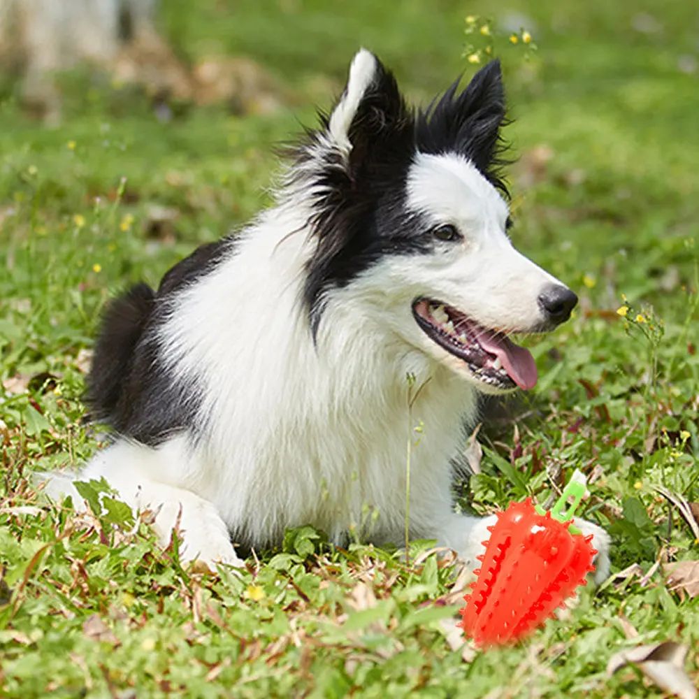 Juguetes Interactivos para Perros - Mordedores Chili Chomper — imagen 10