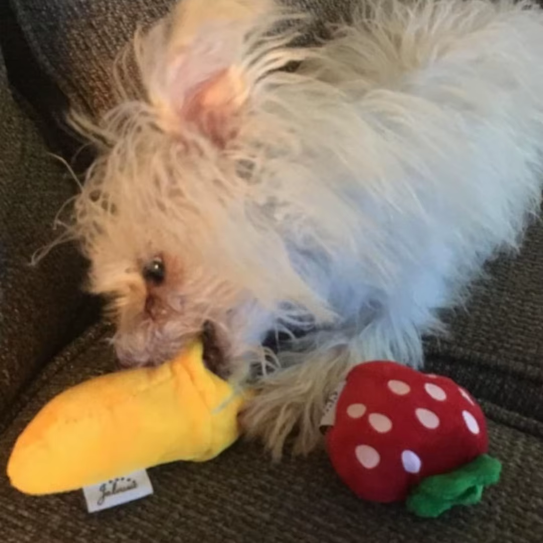 A 7-piece set of puppy sound toys, loose plush pet chewing, plush fruit snacks and vegetable puppy toys, suitable for cute playm — image 3