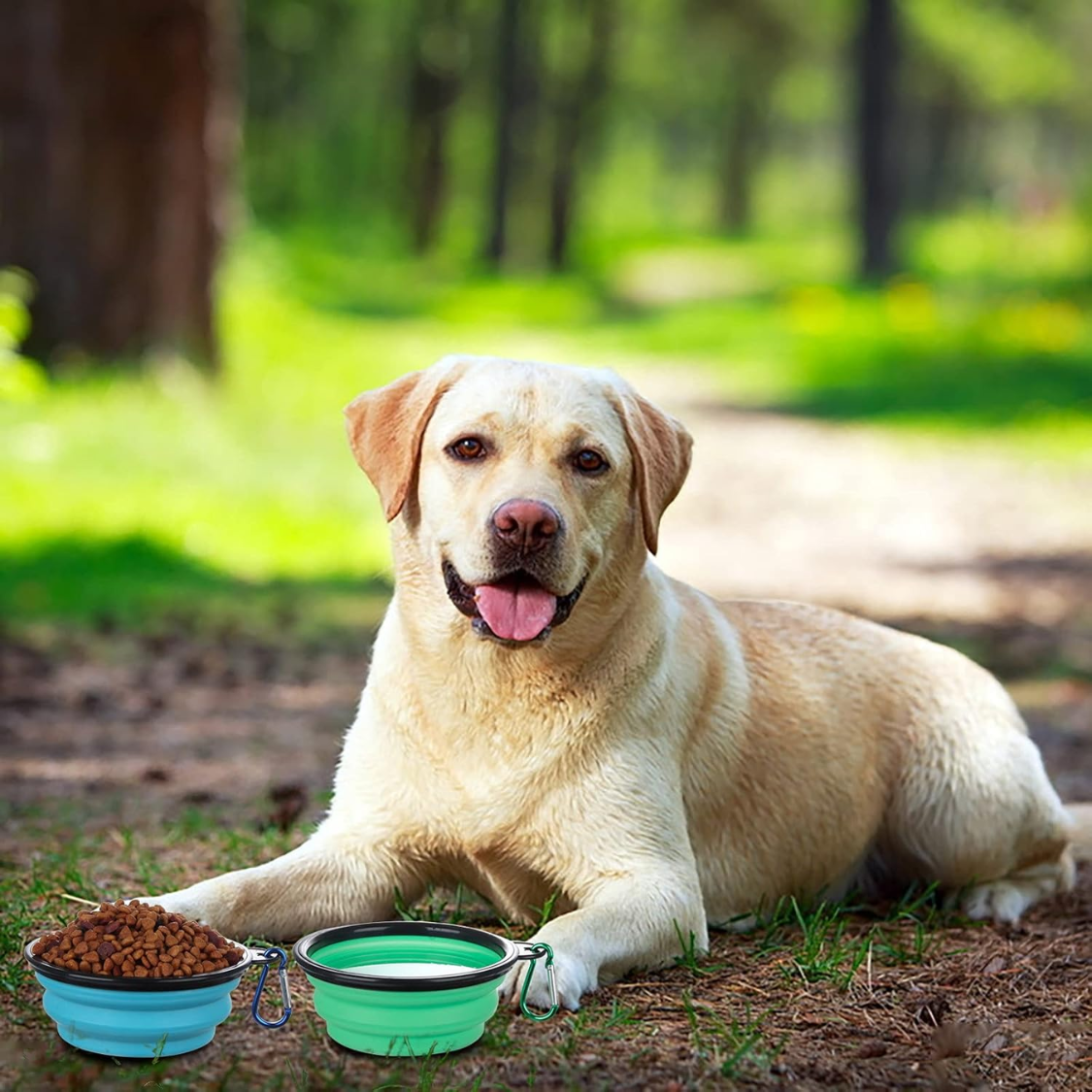 Bolsas de Comida Portátiles con Tapas Reversibles, 2 Unidades - Comidas y Agua para Perros y Gatos en Viajes, Caminatas o Acampadas — imagen 3