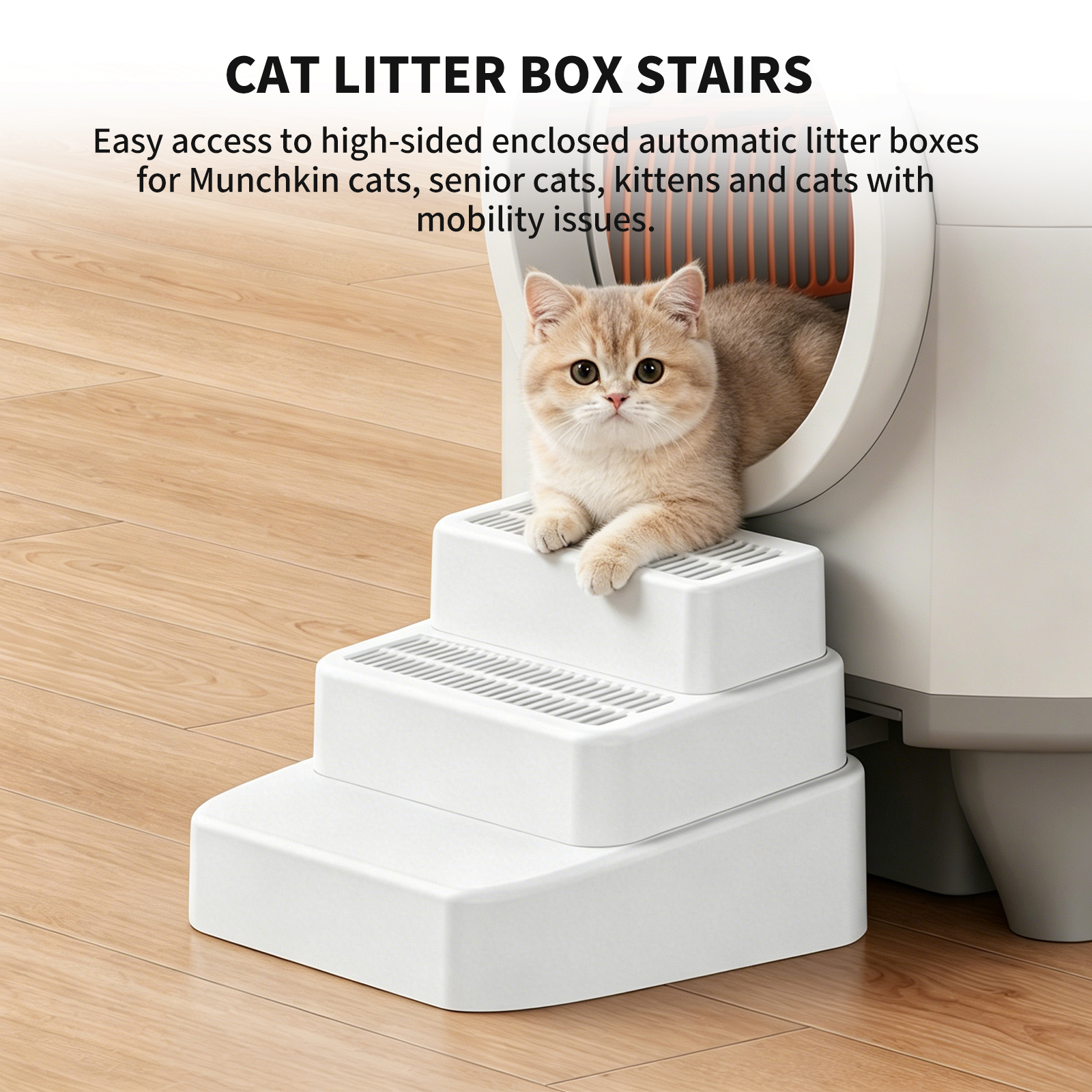 Solo Recogida en Tienda - Escalera para Gatos — imagen 9