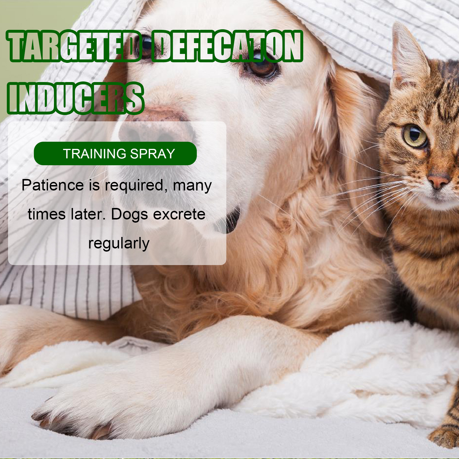Pet Location-Based Defecation Inducers, Pet Toilet Inducer Urine Locator Toilet Training Agent — image 5