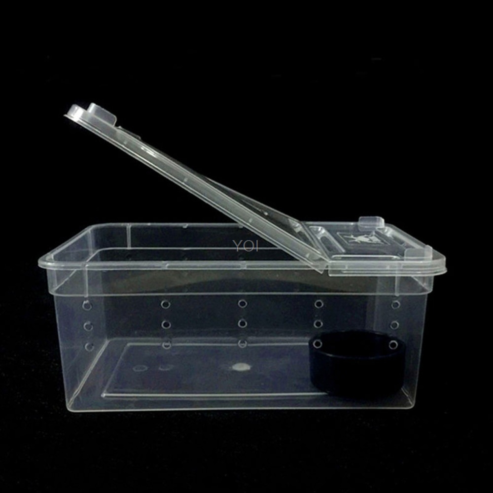 Caja de alimentación transparente para réptiles en plástico — imagen 6