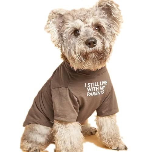 Ropa para Mascotas Camiseta de Cuello Redondo — imagen 4
