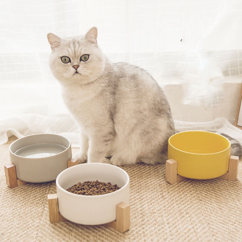 New Cute Pet Cat Bowl, Cat Basin, Ceramic Bowl, Drinking Water, Feeding, Non Slip Belt, Wooden Frame, Anti Overturning — image 1