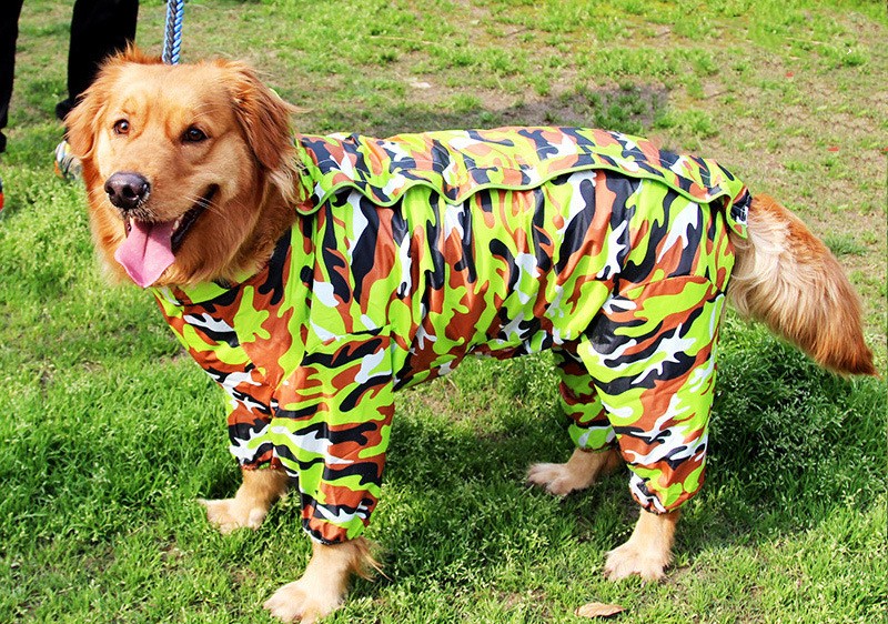 Chaquetón de agua para perros, procesamiento de ropa para mascotas, chaqueta grande para cuatro patas con pelaje dorado — imagen 4