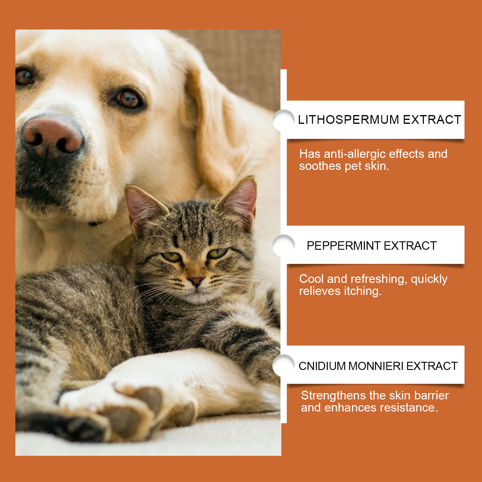 Pet Itch & Allergy Relief Cream, Soothing Skin For Dogs & Cats, Natural Herbal Extracts For Itch, Bites & Irritated Skin, 50g — image 7