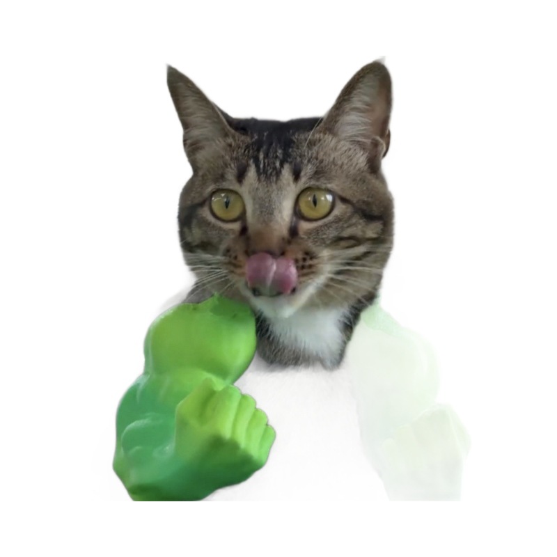 Hulk Cat Arm Pet Dog Toy Photography Prop 3D Printed Cute Funny Creative Cat Costume Backpack — image 1