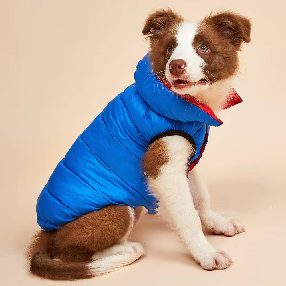 Ropa Nueva para Perros, Otoño e Invierno — imagen 6