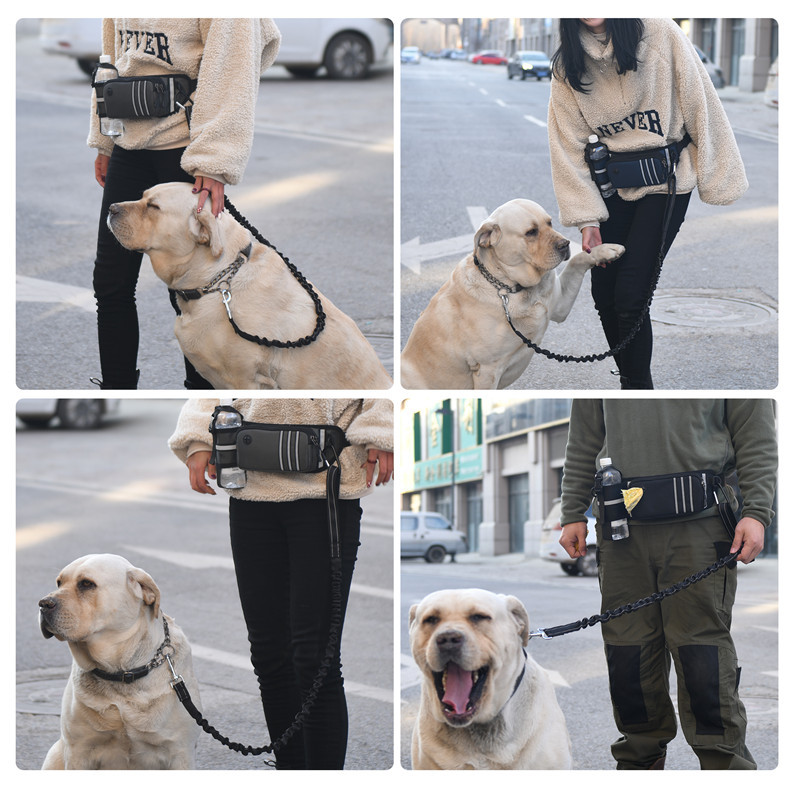 Fanny Pack Deportivo Multifuncional e Impermeable para Mascotas, Exterior, Antipunching, Elástico, para Paseo de Perros — imagen 3